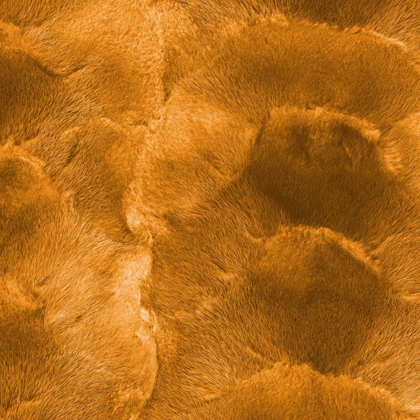 Gengibre vison pele textura closeup para fundo — Fotografia de Stock