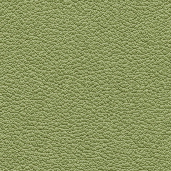 Texture cuir vert . — Photo