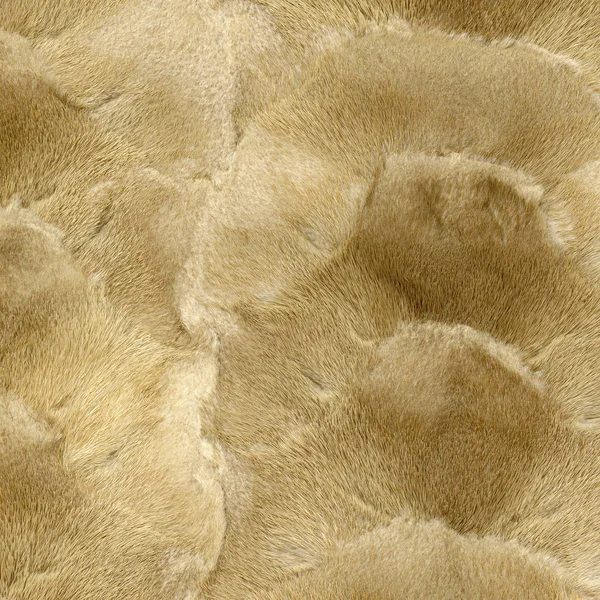 Texture de fourrure de vison naturel beige gros plan pour le fond — Photo