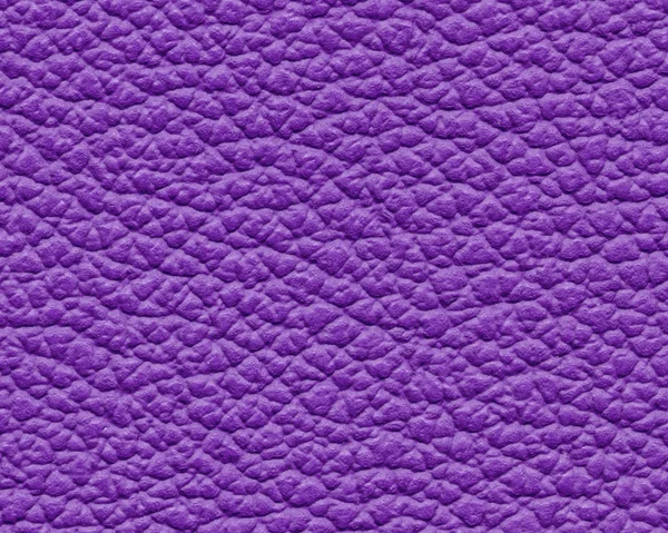 Textura de cuero violeta primer plano . —  Fotos de Stock