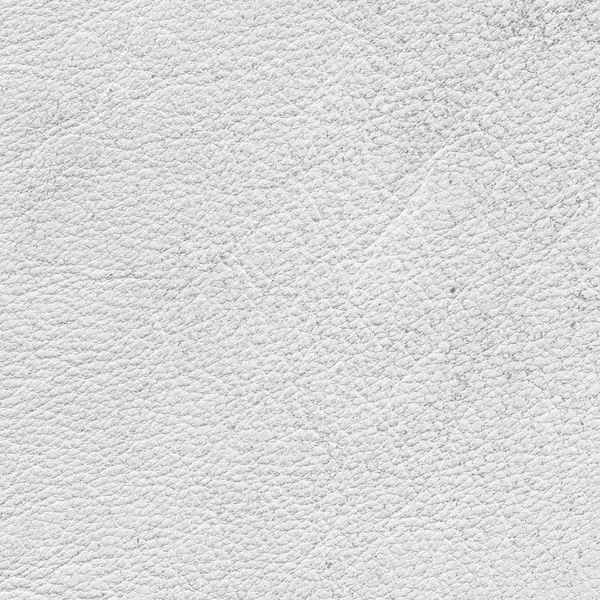 Textura de cuero blanco viejo primer plano como fondo — Foto de Stock