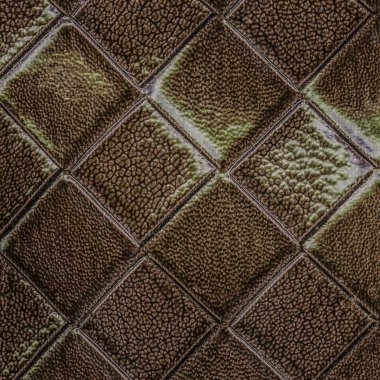 kahverengi suni deri doku portre.