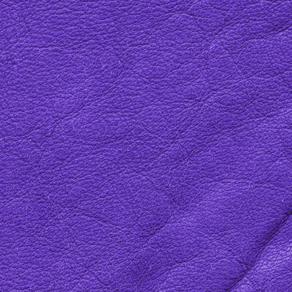 Bright violet leather texture closeup as background — Stock Photo, Image