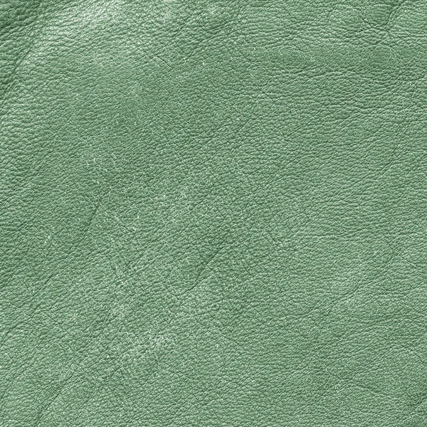 green leather texture or background