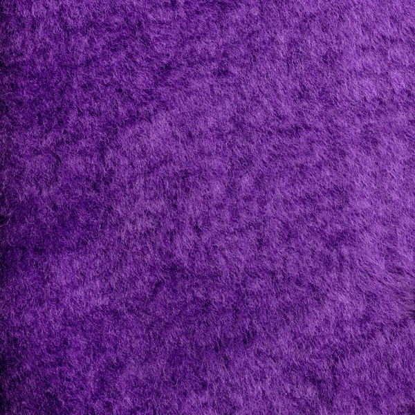 Textura de piel de oveja violeta pintada — Foto de Stock