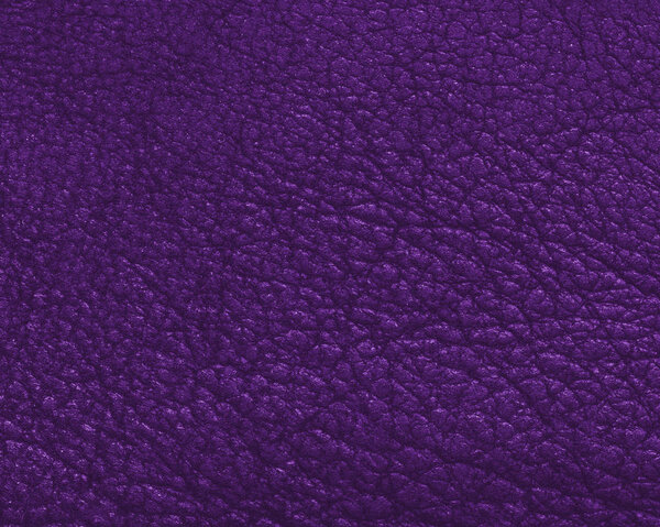 violet high detailed leather texture