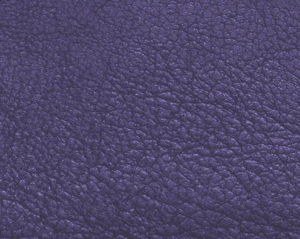 Violet hoog gedetailleerde leder texture — Stockfoto