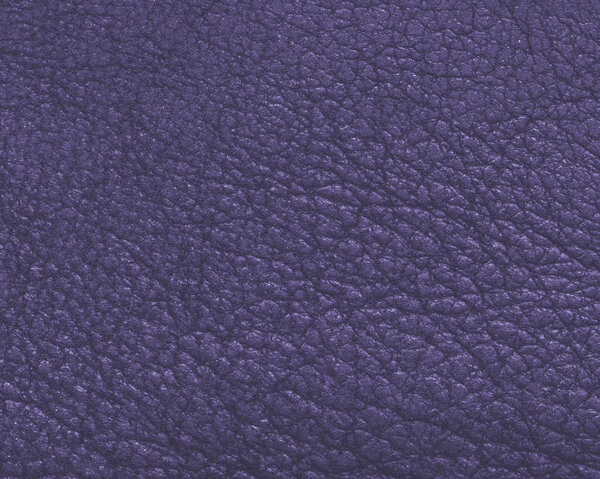 violet high detailed leather texture