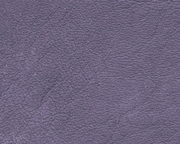 Textura de couro cinza-violeta close-up como fundo — Fotografia de Stock