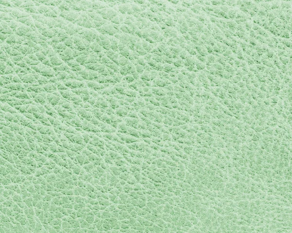Light green leather texture, useful as background — Stock Photo, Image