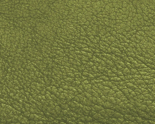 Zielony wysokie skórzane szczegółowe tekstury — Zdjęcie stockowe