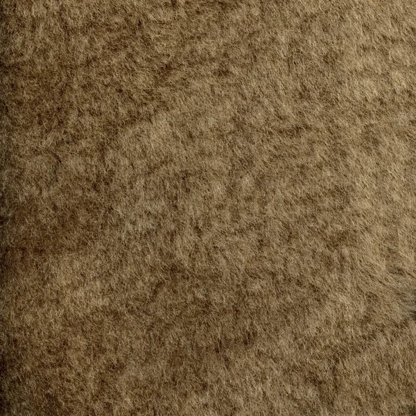 Painted brown natural fur texture — Stock Photo, Image