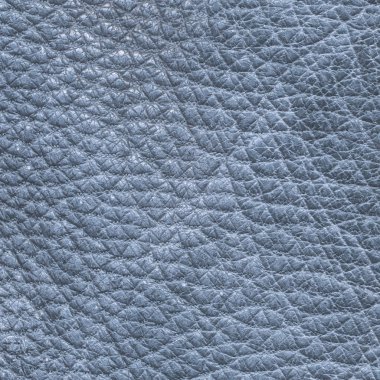 gri-mavi deri dokusu portre.