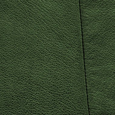 parlak yeşil deri doku veya arka plan