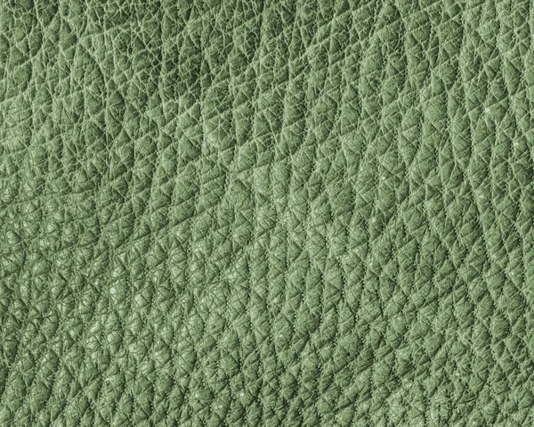 Πράσινο δέρμα closeup υφή. Χρήσιμο για φόντο — Φωτογραφία Αρχείου