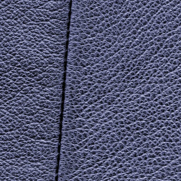 Violet leather texture closeup,seam — Stock Photo, Image