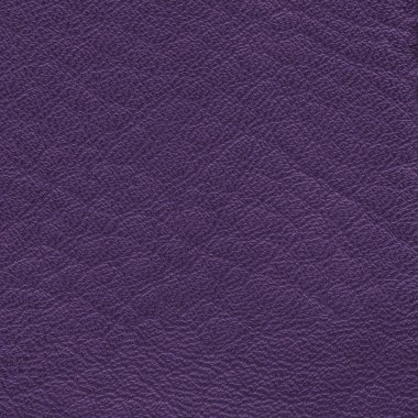 Mor deri dokusu portre