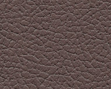 kahverengi suni deri doku portre 