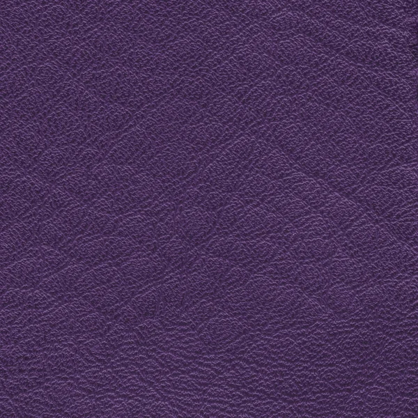 Violet leather texture closeup — Stock Photo, Image