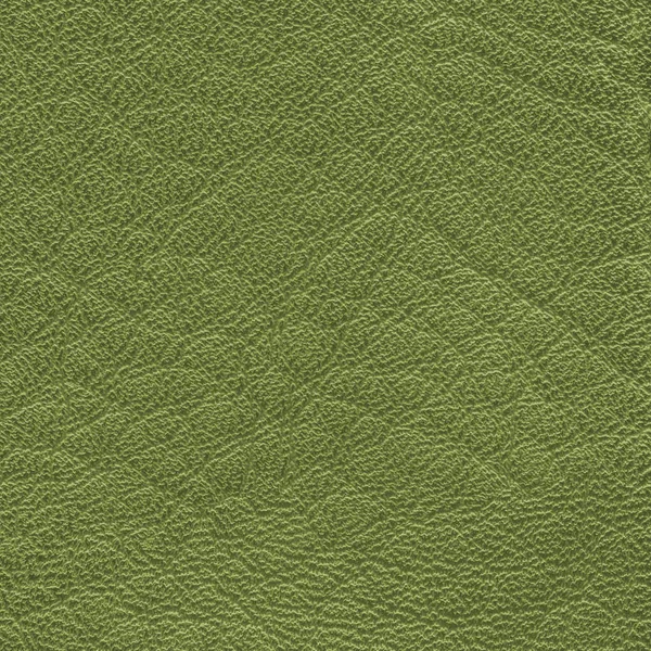 Detailní textury světle zelená kůže — Stock fotografie