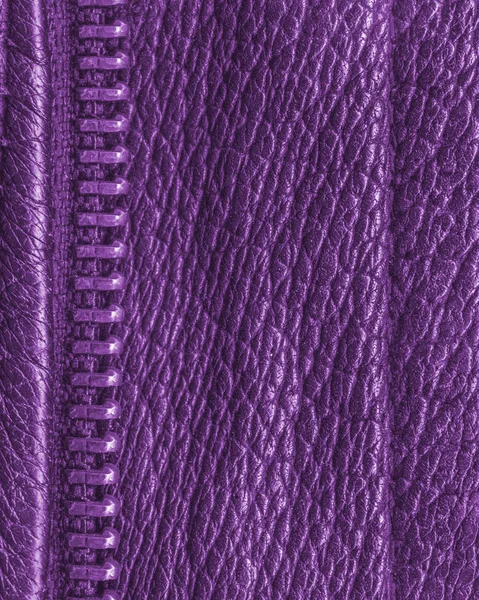 Violet leather texture decorated with a zipper closeup — Stock Photo, Image