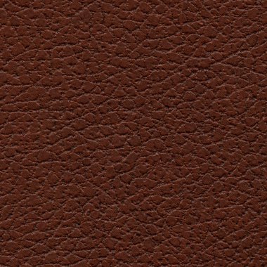 kahverengi suni deri doku portre