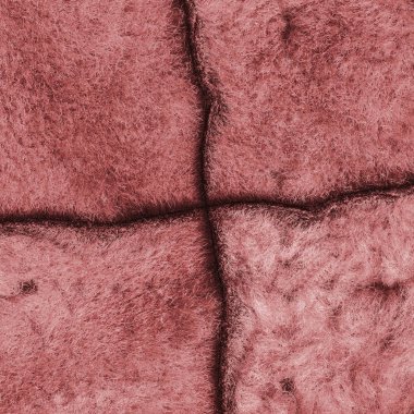 arka plan olarak eski kırmızı kürk astarı parçası