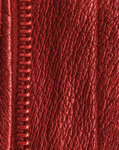 Red leather texture decorated with a zipper closeup — Stock Photo, Image