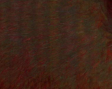 koyu kırmızı-kahverengi kürk doku portre. 