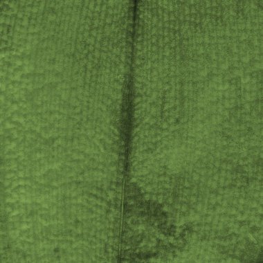 yeşil desenli arkaplan