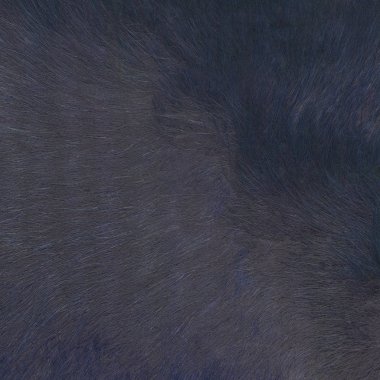 Gri-Mavi kürk doku. 