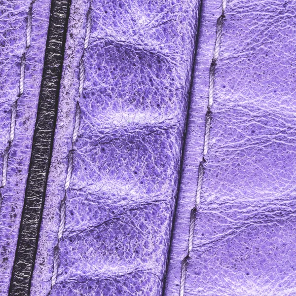 Vysoce detailní fragment fialové kožené oblečení — Stock fotografie
