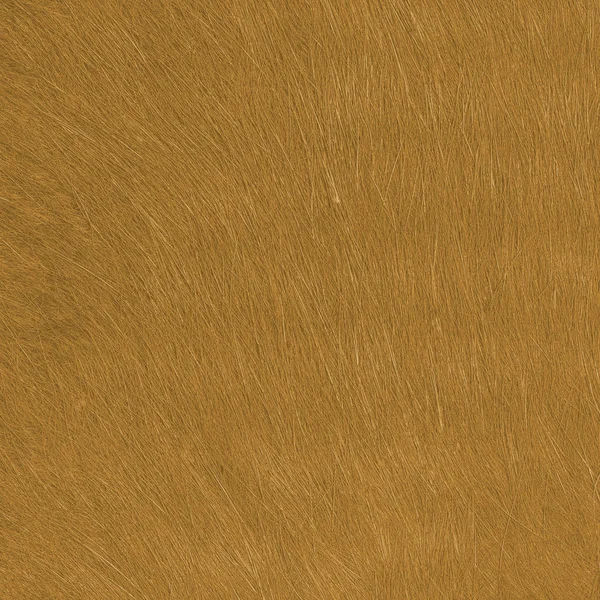 Yellow fur texture closeup — Stock Photo, Image