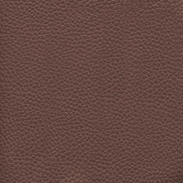 Brun läder konsistens som bakgrund — Stockfoto