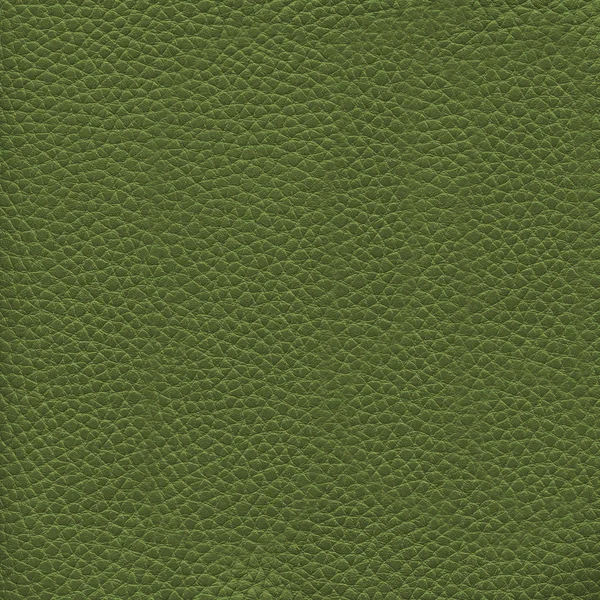 Textura de cuero verde como fondo — Foto de Stock
