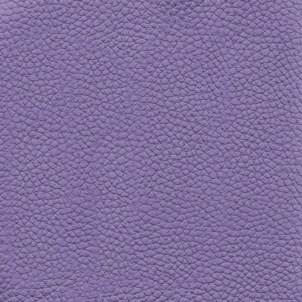 Texture de cuir violet comme fond — Photo