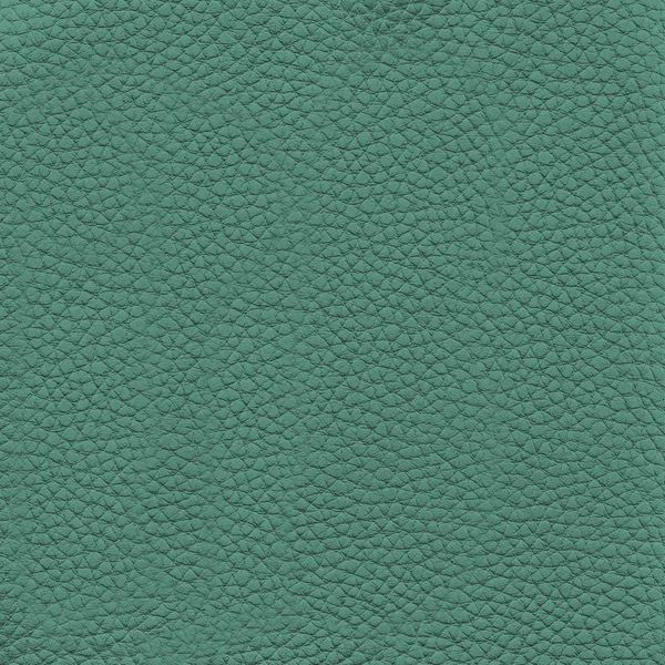 Texture en cuir turquoise comme fond — Photo