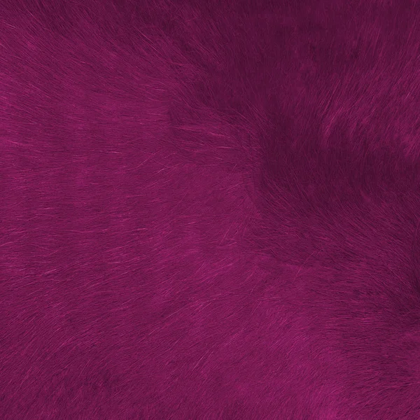 Crimson futro tekstury — Zdjęcie stockowe
