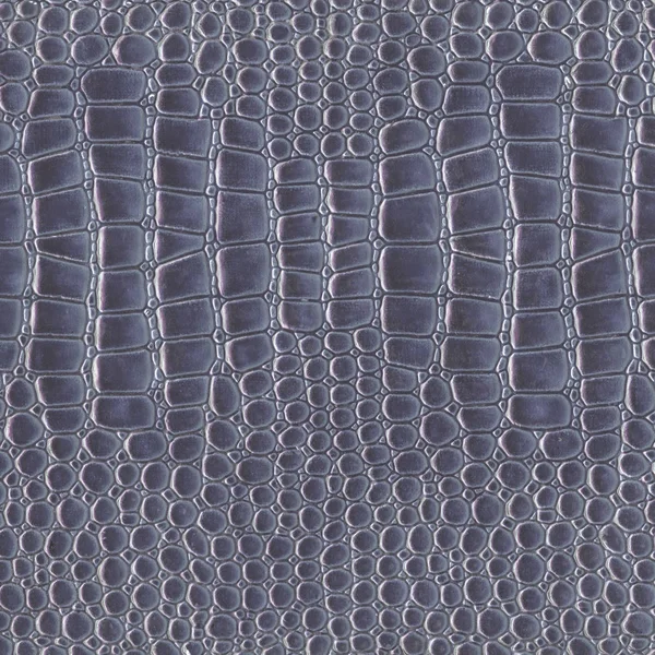 Textura da pele de cobra — Fotografia de Stock