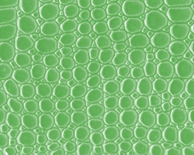 ışık yeşil yapay yılan deri doku portre