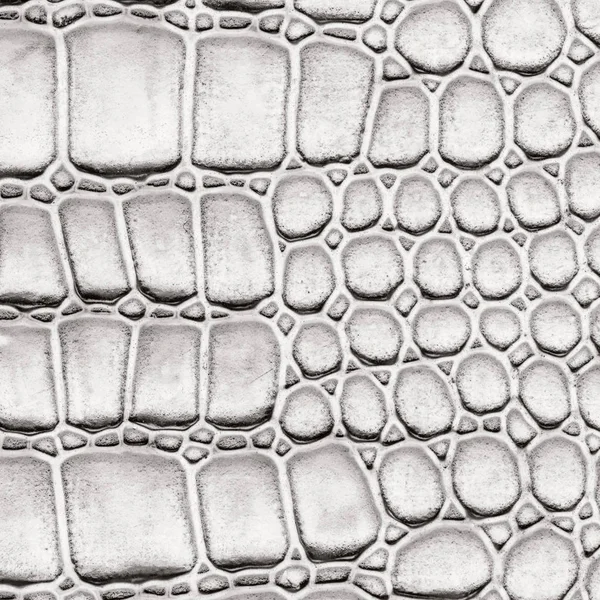 Bianco artificiale pelle di serpente texture primo piano — Foto Stock