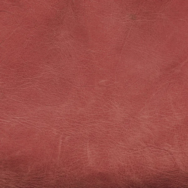 Textura de couro vermelho como fundo — Fotografia de Stock