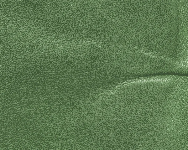 Light green leather textute,fold. Useful for background — Stock Photo, Image
