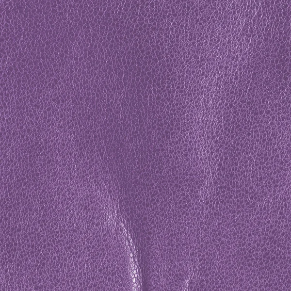 Violet leather textute, fold. Useful for background — Stock Photo, Image
