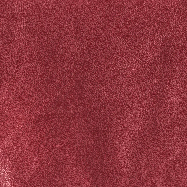 Red leaher texture. — Stock Photo, Image