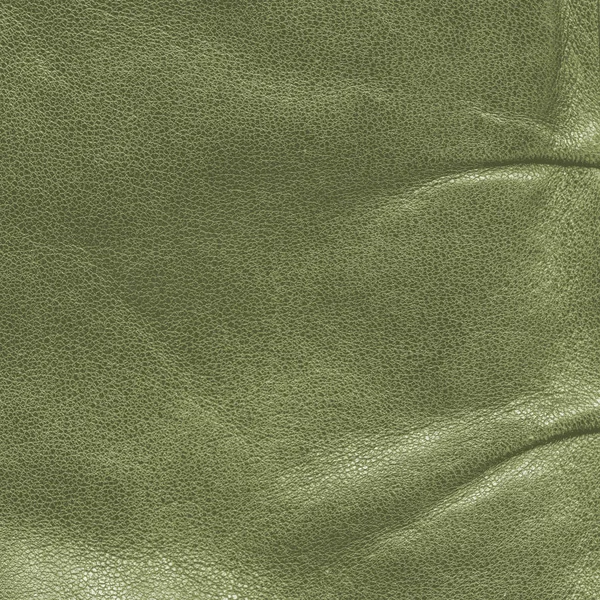 Yeşil leaher doku. — Stok fotoğraf