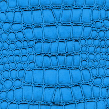 yapay yılan deri doku closeup mavi