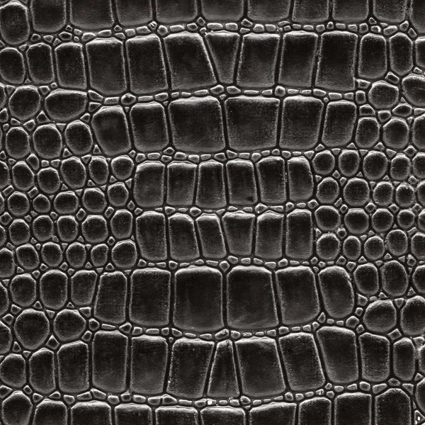 Černé umělé hadí kůže textury detailní — Stock fotografie