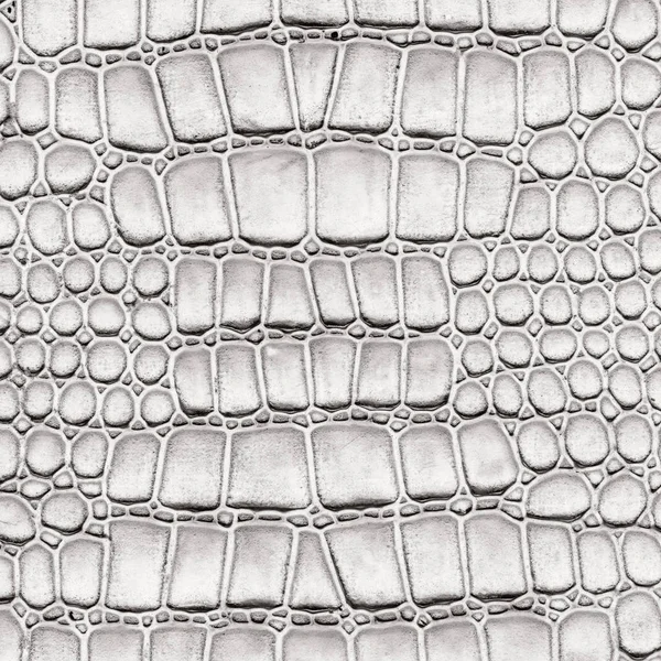 Blanc artificiel peau de serpent texture gros plan — Photo