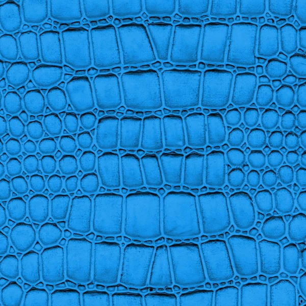 Blue artificial snake skin texture closeup — Stock Photo, Image